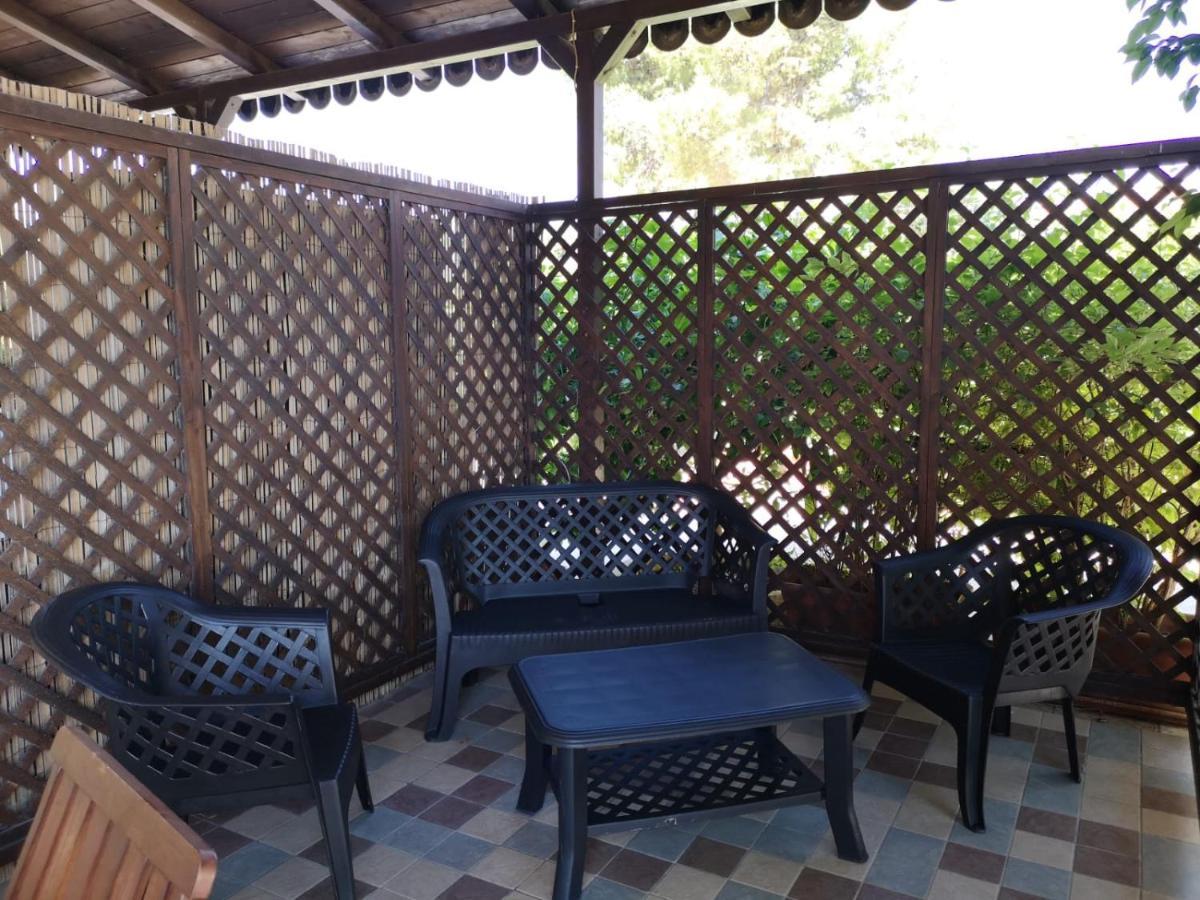 Xenia Garden 2 Avola